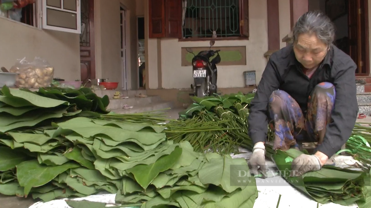 Ngôi làng ở Thủ đô người dân ngồi “đếm lá tính tiền” mỗi dịp Tết Nguyên đán- Ảnh 2.