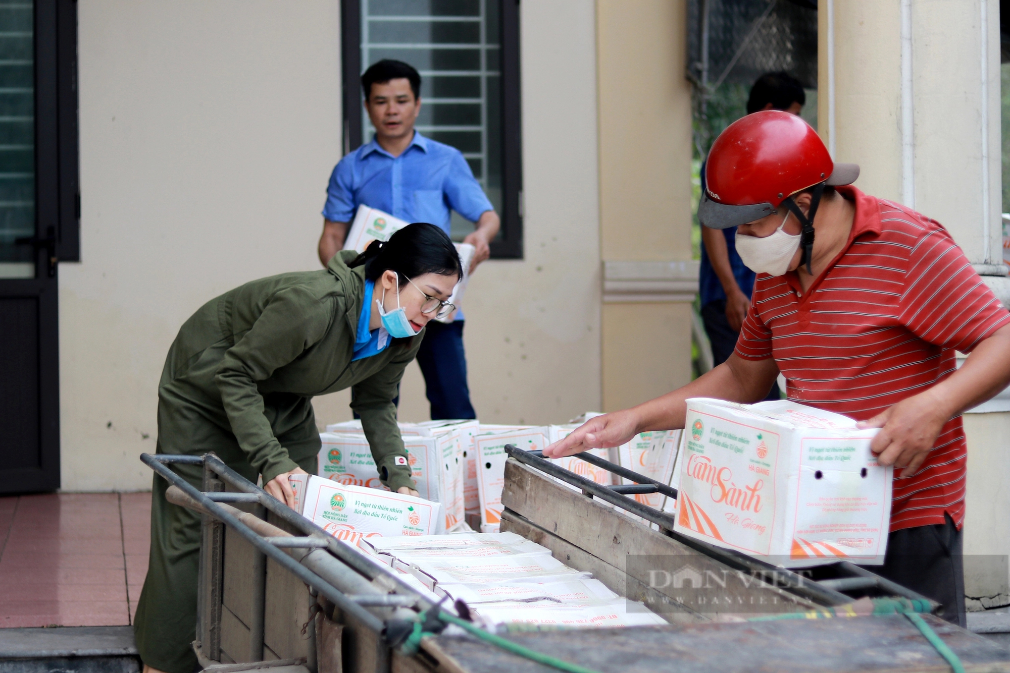 Hội Nông dân Hà Tĩnh hỗ trợ tiêu thụ 18 tấn cam sành cho nông dân Hà Giang - Ảnh 12.