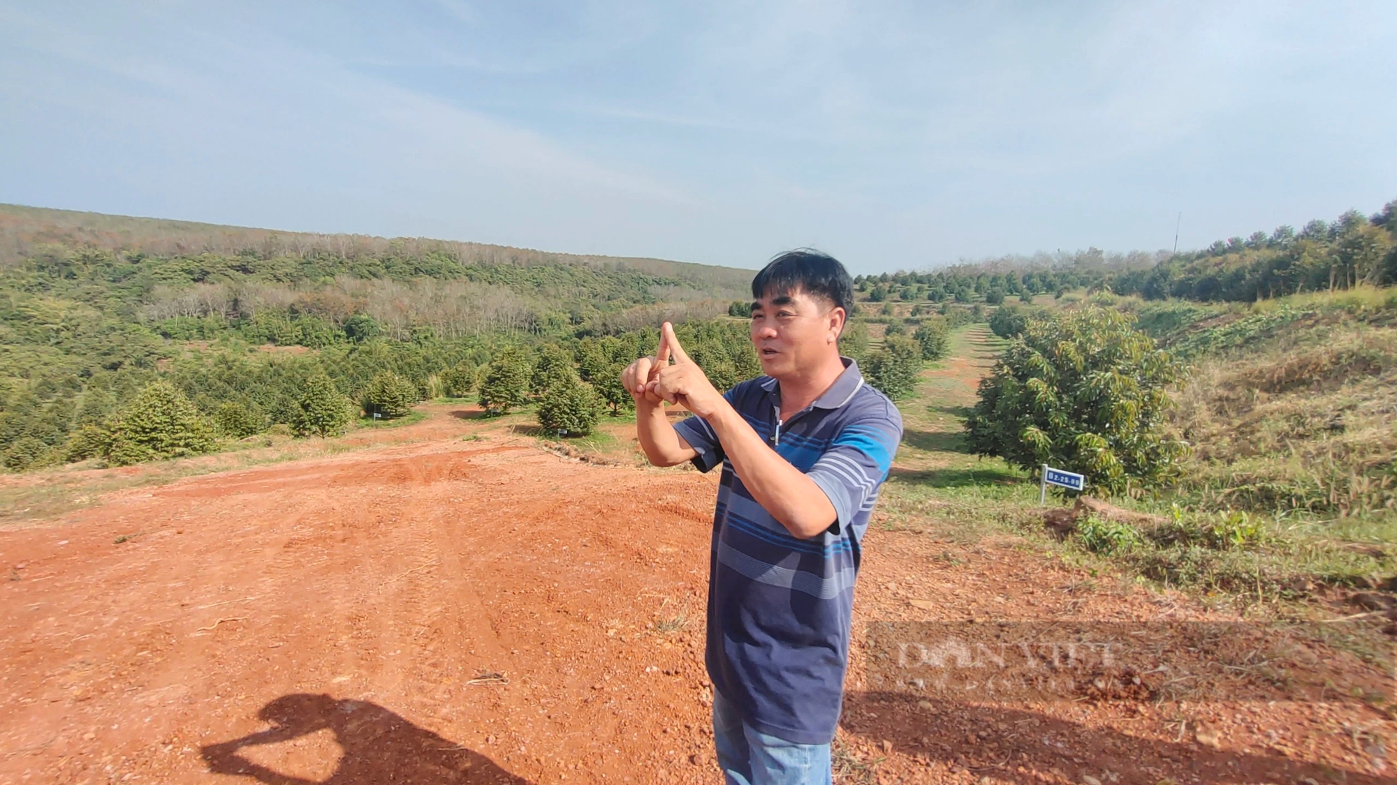 Từ vùng đất cao su cằn cỗi, xuất hiện vườn sầu riêng 55ha công nghệ cao, đầu tư hiện đại nhất Bình Phước- Ảnh 5.