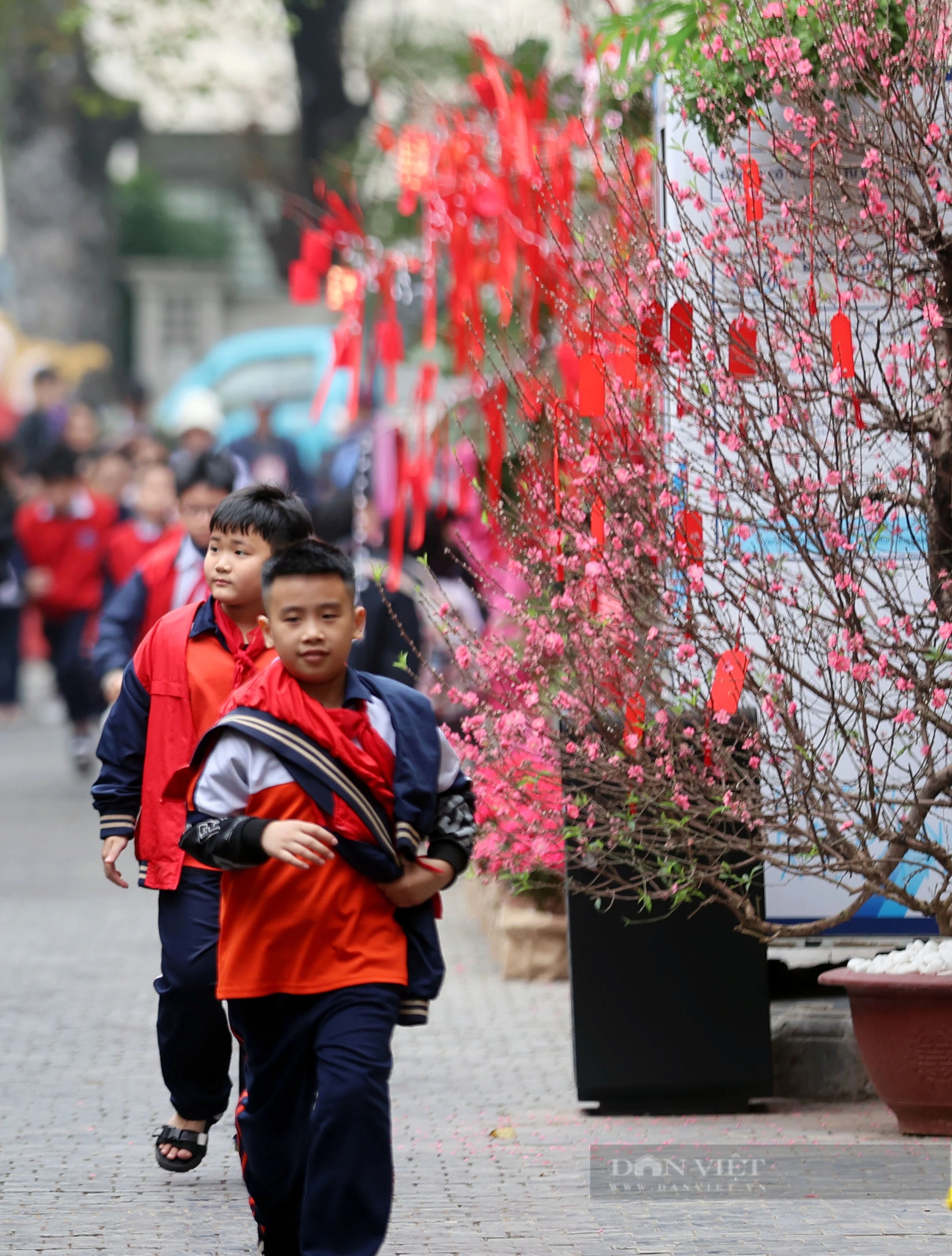 Phố sách xuân ở trung tâm Hà Nội khai mạc, nhiều du khách đổ về chơi Tết sớm- Ảnh 6.