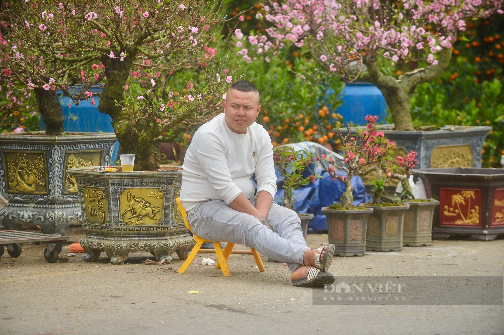 Tiểu thương rầu rĩ cảnh buôn hoa đào, mai ngày 27 Tết: "Hoa cười người khóc"- Ảnh 2.