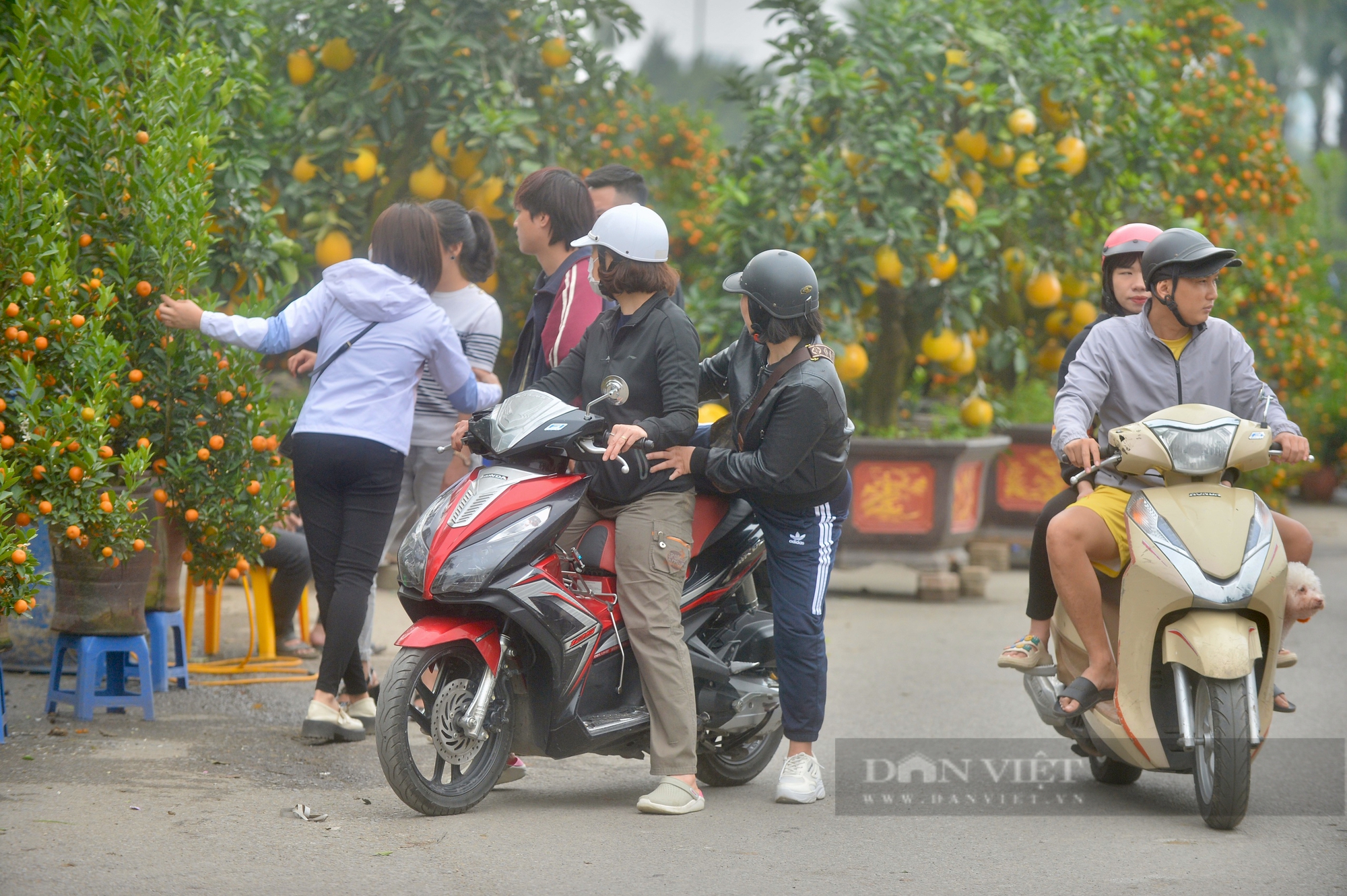 Tiểu thương rầu rĩ cảnh buôn hoa đào, mai ngày 27 Tết: "Hoa cười người khóc"- Ảnh 4.