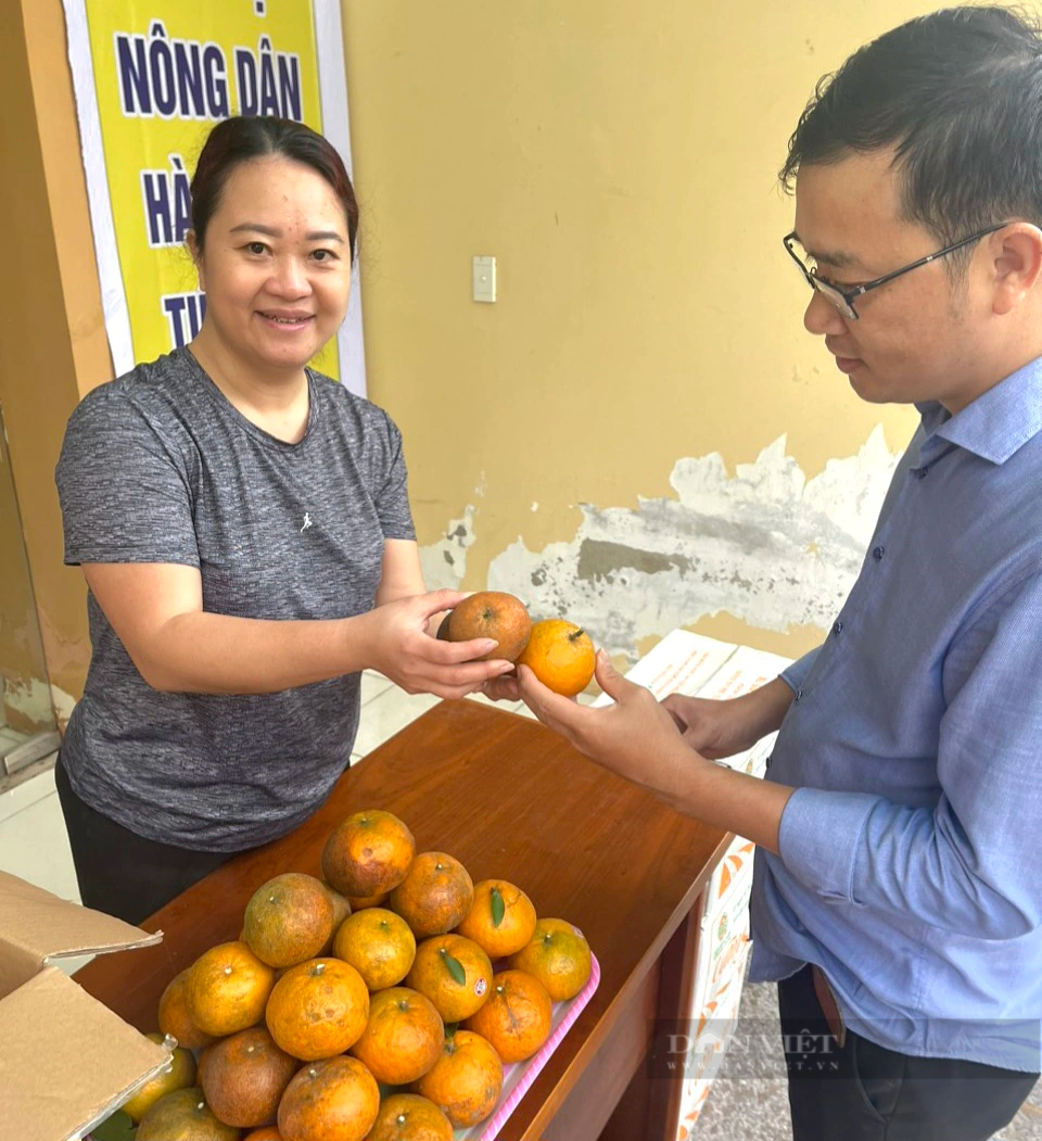 Hội Nông dân Quảng Bình hỗ trợ tiêu thụ 22 tấn cam sành cho nông dân Hà Giang- Ảnh 2.