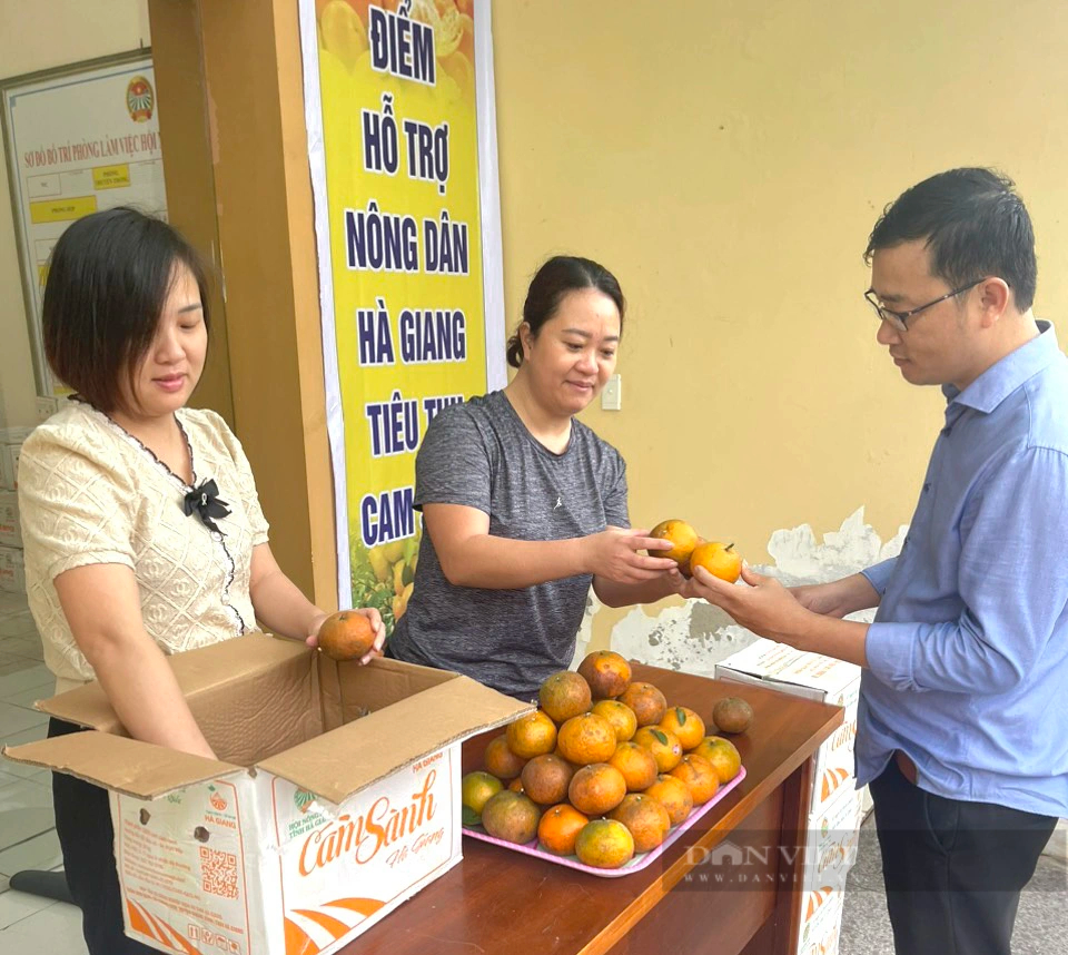 Hội Nông dân Quảng Bình hỗ trợ tiêu thụ 22 tấn cam sành cho nông dân Hà Giang- Ảnh 3.