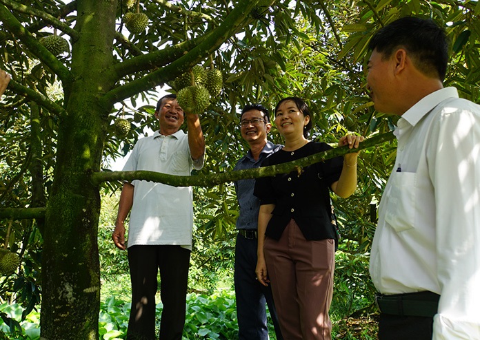 Một nơi ở Đồng Tháp, nông dân mạnh dạn chuyển đổi cây trồng kiểu gì mà tiền thu được nhiều hơn?- Ảnh 1.