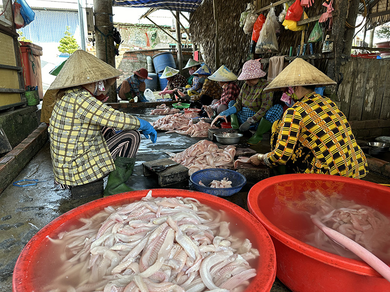 Cả làng ở Đồng Tháp phơi la liệt khô cá ăn tết, khô cá sặc bán 280.000 đồng/kg- Ảnh 1.