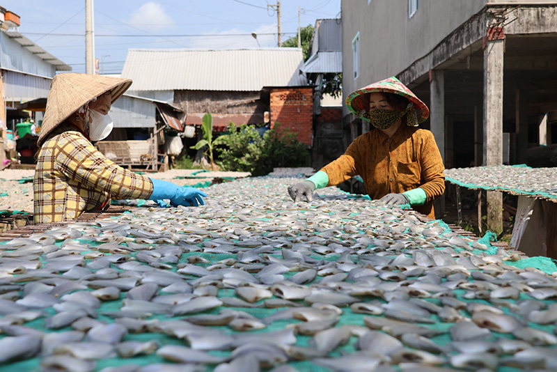 Cả làng ở Đồng Tháp phơi la liệt khô cá ăn tết, khô cá sặc bán 280.000 đồng/kg- Ảnh 2.