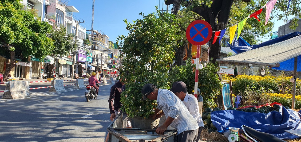 Hoa Tết ở Tp Nha Trang của Khánh Hòa đang hút khách, mua bán nhộn nhịp- Ảnh 3.