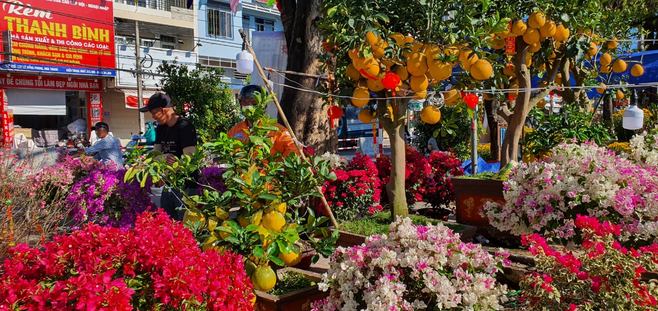 Hoa Tết ở Tp Nha Trang của Khánh Hòa đang hút khách, mua bán nhộn nhịp- Ảnh 4.