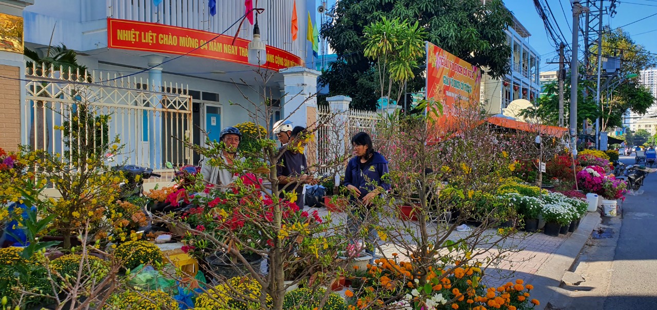 Hoa Tết ở Tp Nha Trang của Khánh Hòa đang hút khách, mua bán nhộn nhịp- Ảnh 5.