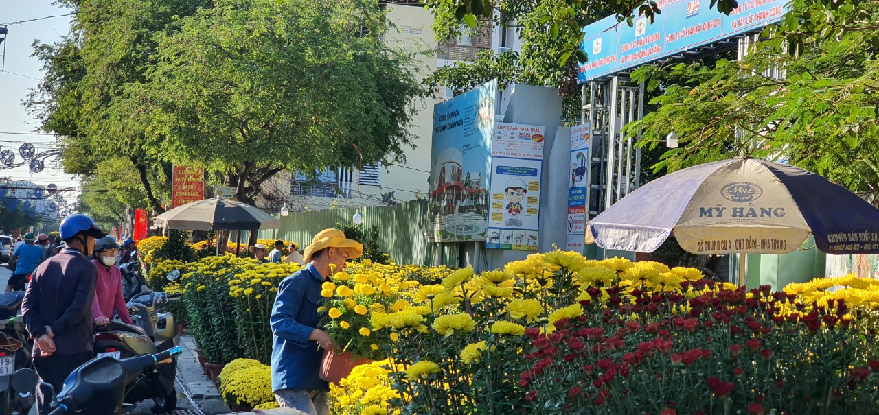 Hoa Tết ở Tp Nha Trang của Khánh Hòa đang hút khách, mua bán nhộn nhịp- Ảnh 1.