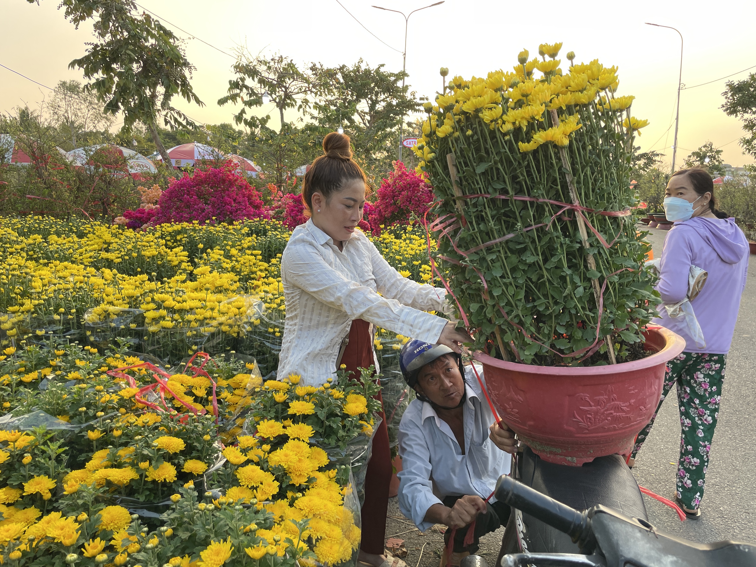 Có một chợ hoa xuân rặt miền Tây ở Sài Gòn, giá rẻ bất ngờ- Ảnh 4.