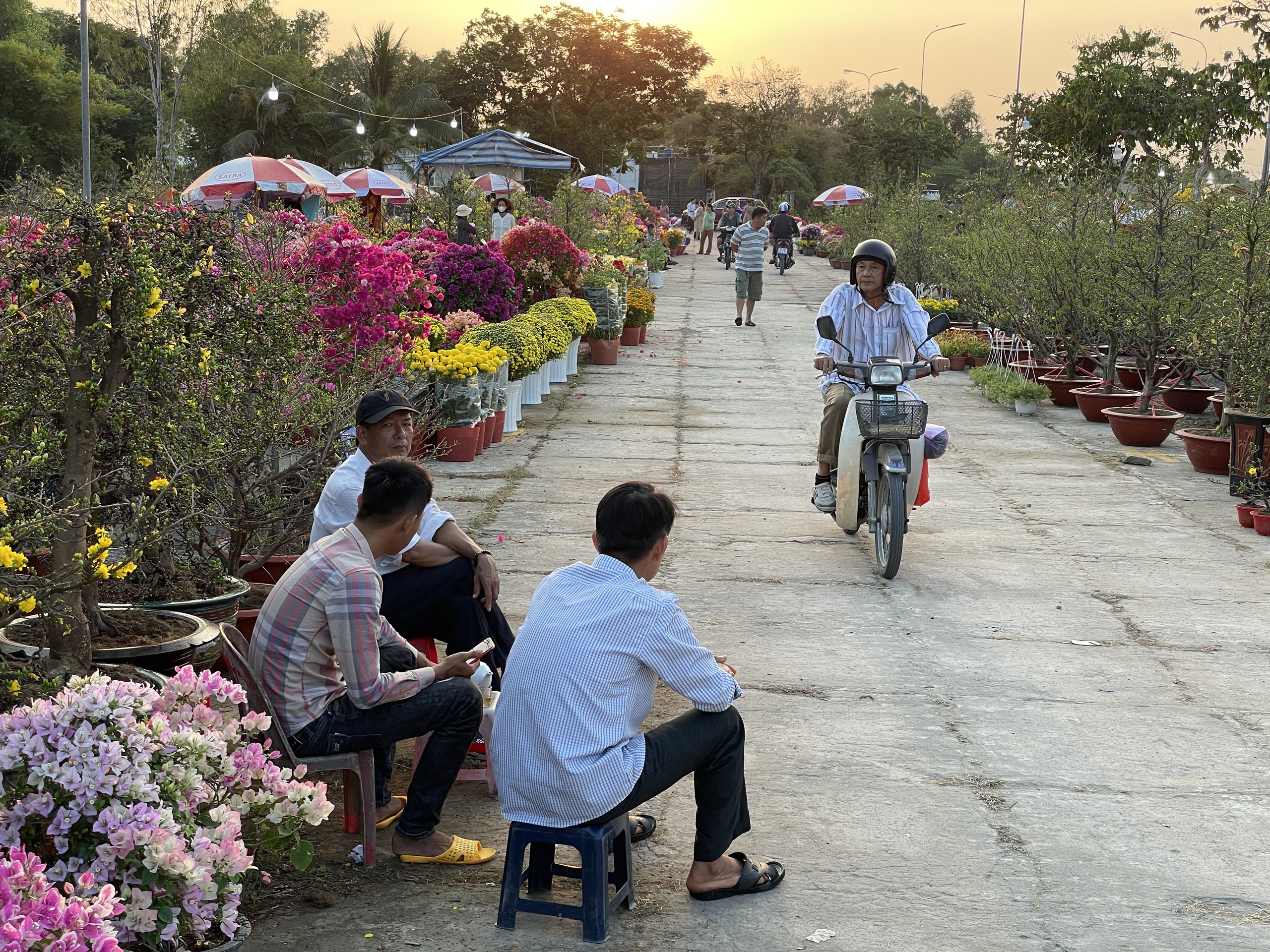 Một chợ hoa xuân siêu dễ thương ở Sài Gòn, người bán vừa nói giá là khách chở cả xe về chơi Tết- Ảnh 9.