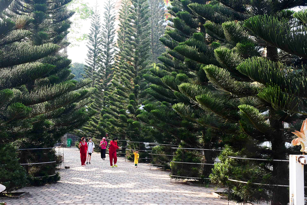 Nghe câu "tiền tam giang, hậu thất lĩnh", người miền Tây nghĩ ngay đến tỉnh nào của Việt Nam?- Ảnh 22.