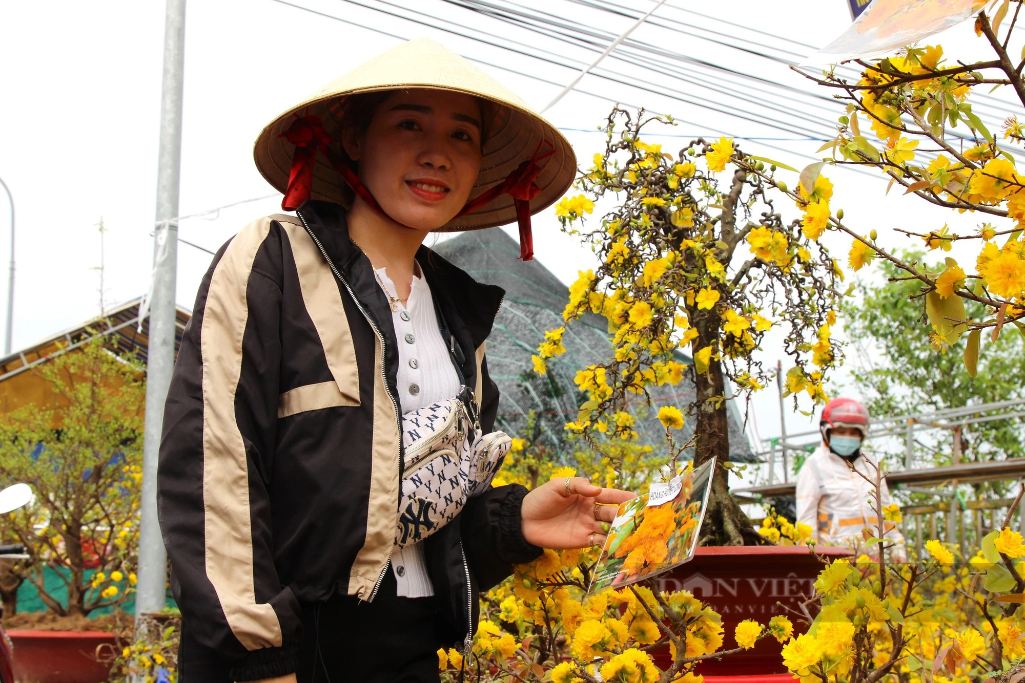 Hoa mai vàng bung nở rực rỡ tại chợ hoa Cần Thơ- Ảnh 4.