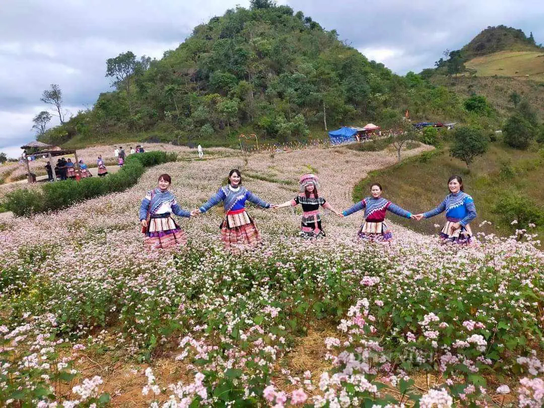 Đồng bào Mông Si Ma Cai (Lào Cai) may trang phục truyền thống đón Tết- Ảnh 3.