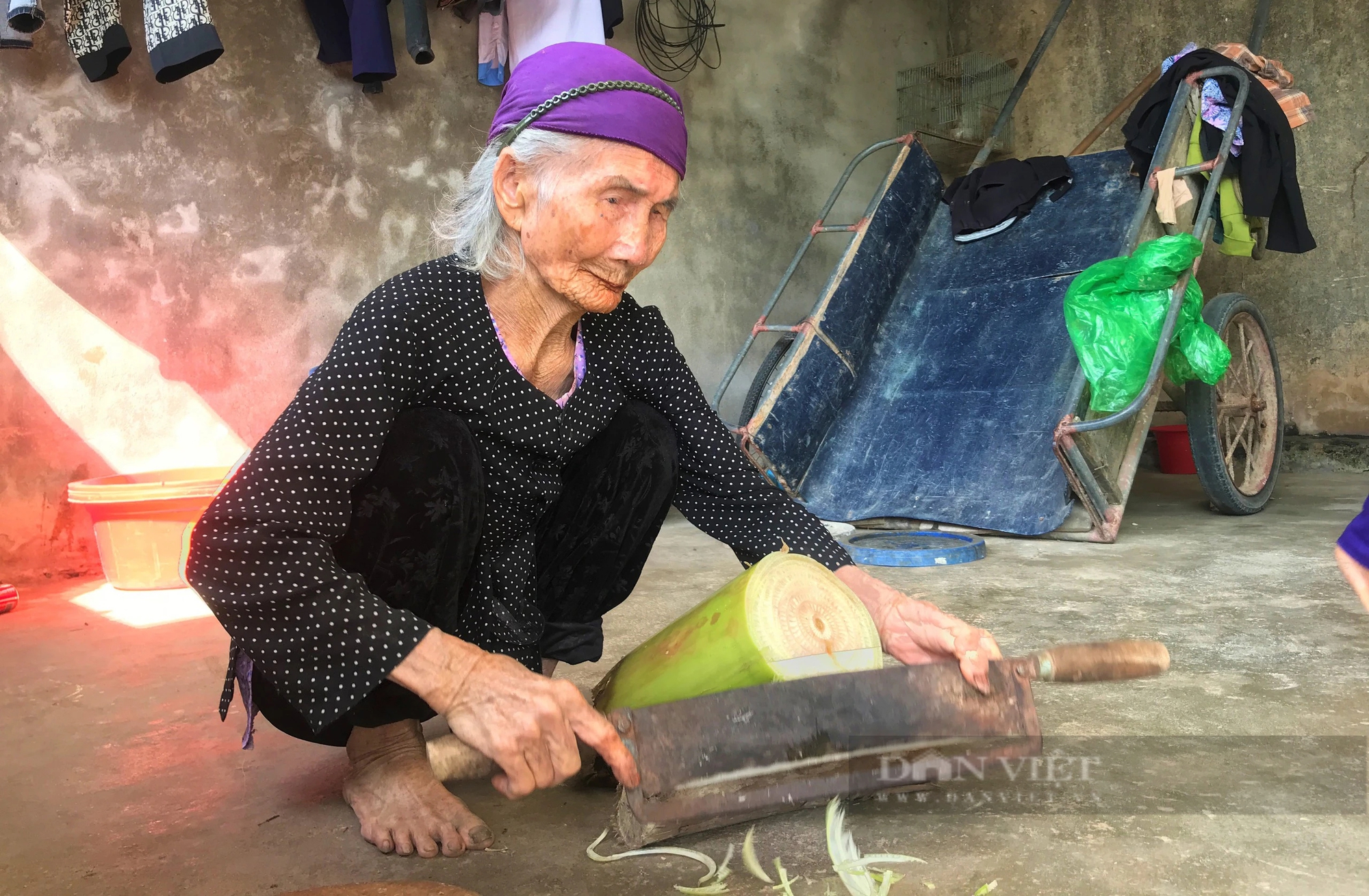Vào làng trường thọ ở Nghệ An, gặp cụ bà 106 tuổi vẫn thái rau nuôi gà, ai bắt chuyện cũng bất ngờ thán phục- Ảnh 5.