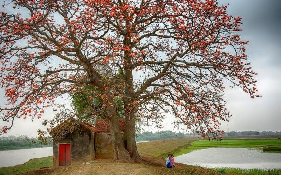 Sự thật về huyền tích 