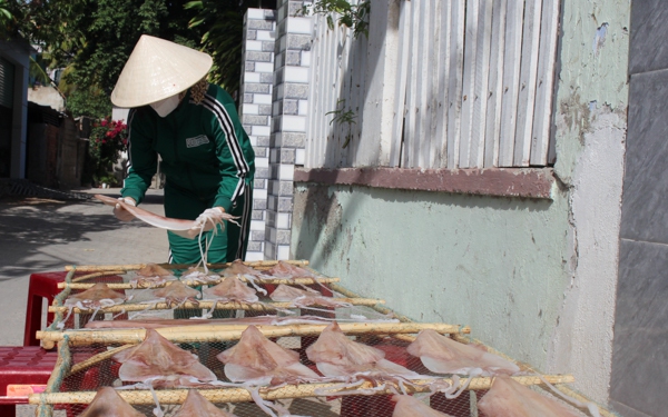 Đặc sản tết ở Ninh Thuận, mực một nắng ngon giá bán cao nhất là hơn 1 triệu đồng/kg