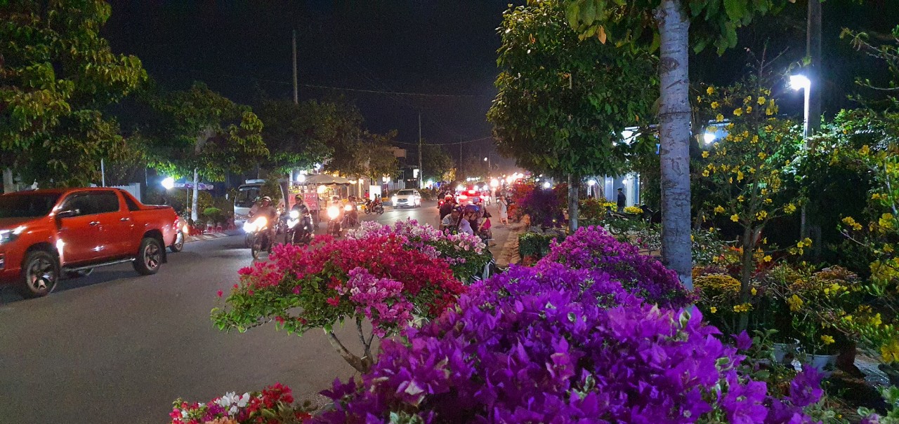 Loại cây cảnh bonsai, chậu hoa giấy mini đang bán hút khách ở Cam Lâm, tỉnh Khánh Hòa- Ảnh 9.