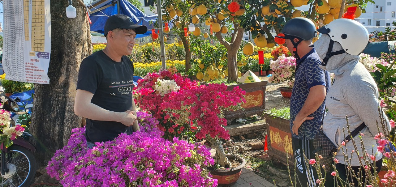 Xuất hiện chậu cây cảnh, chậu hoa giấy độc, lạ, hiếm có ở Nha Trang, thiên hạ đi qua cứ phải ngắm- Ảnh 7.