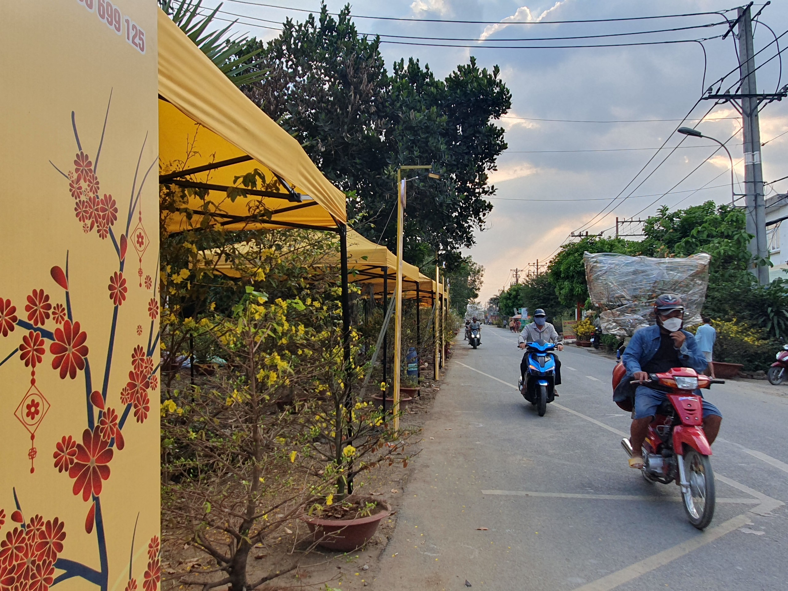 28 Tết: Chợ hoa mai vàng lớn nhất Sài Gòn tấp nập, ba gác, xe tải, thương lái từ khắp nơi vẫn đang đổ về- Ảnh 4.