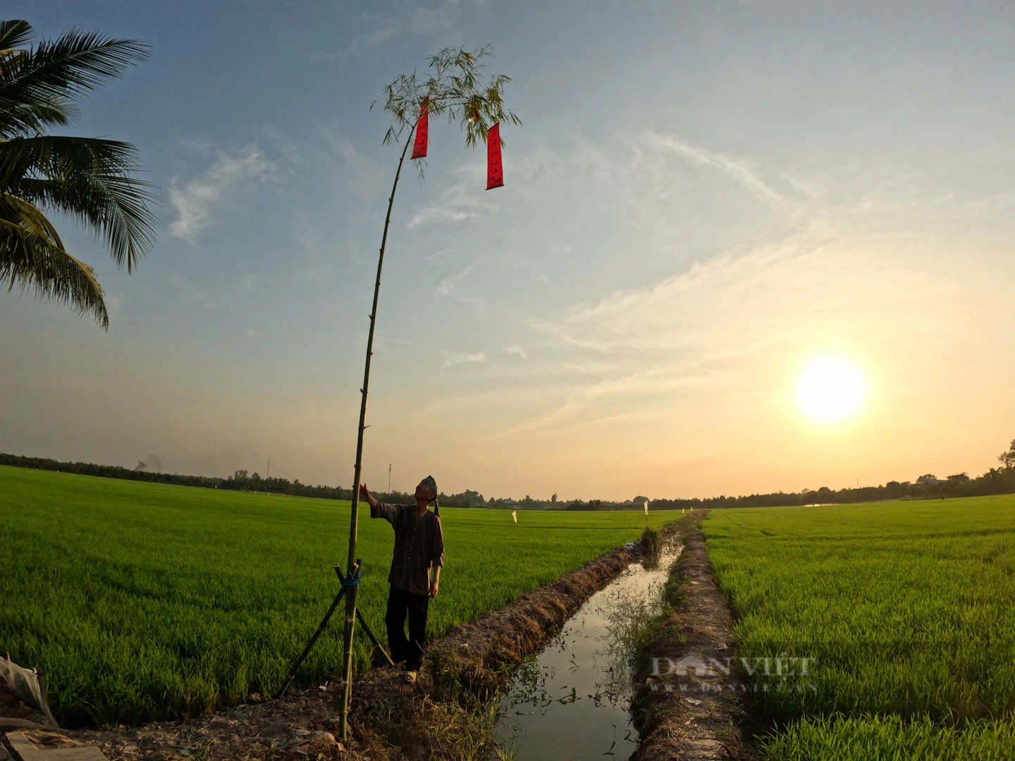 Cứ sáng 30 Tết, ông nông dân này ở An Giang dựng một thứ cây, 50 năm rồi tết nào ông cũng dựng- Ảnh 10.