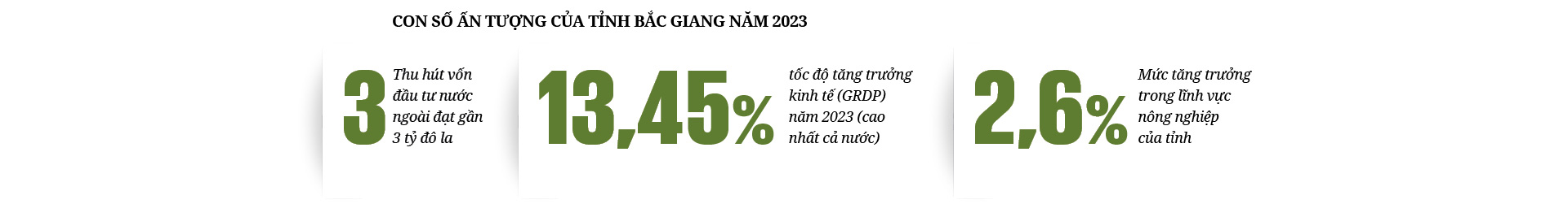 Không chỉ có công nghiệp, Bắc Giang sẽ là nơi tiêu tiền của hàng chục triệu người- Ảnh 4.