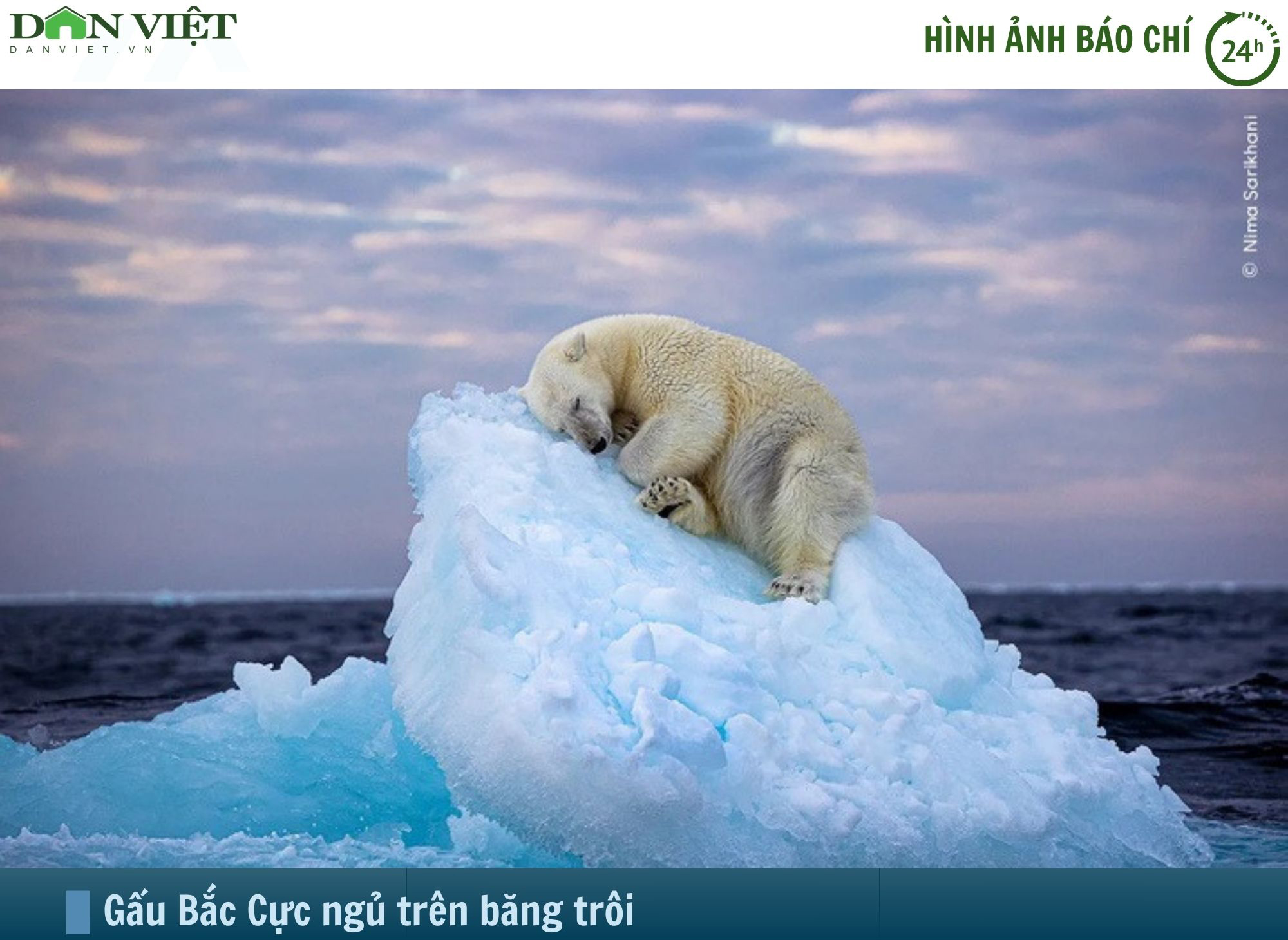 Hình ảnh báo chí 24h: Gấu Bắc Cực ngủ trên băng trôi thắng giải Nhiếp ảnh gia động vật hoang dã của năm- Ảnh 1.