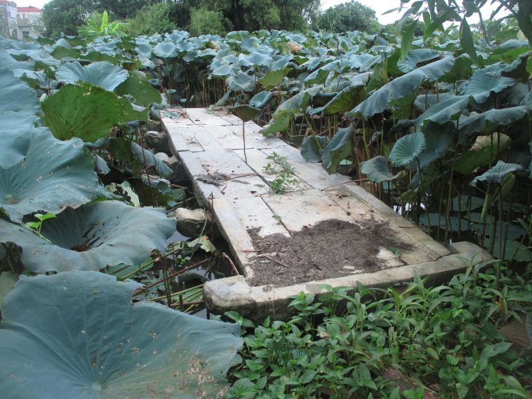 Hai cây cầu đá cổ xưa hiếm có khó tìm ở một vùng đất cổ của Bắc Ninh- Ảnh 2.