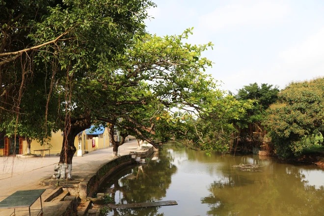 Một làng cổ ở Nam Định đẹp mê luôn, lập làng từ thế kỷ XI, ba bề là sông, một bề là biển- Ảnh 1.