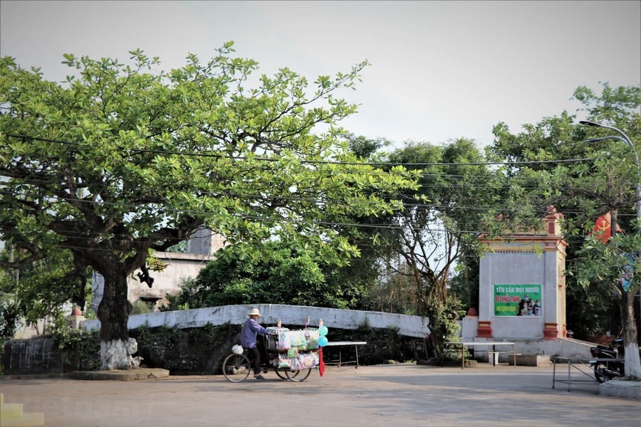 Một làng cổ ở Nam Định đẹp mê luôn, lập làng từ thế kỷ XI, ba bề là sông, một bề là biển- Ảnh 11.
