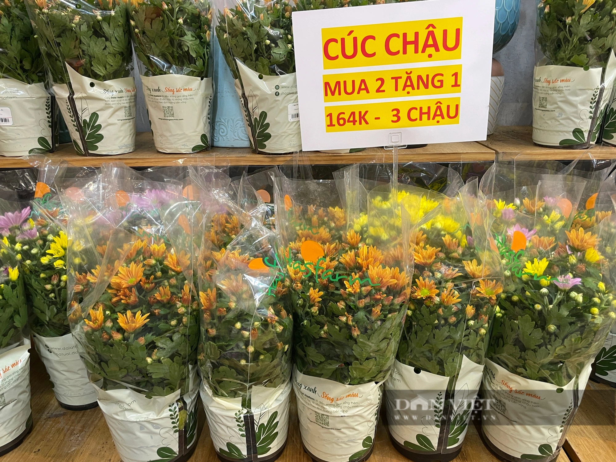 Chợ 30 Tết Sài Gòn: Khách gom hàng giảm giá, shop hoa nổi tiếng cũng đại hạ giá mua 1 tặng 1- Ảnh 4.
