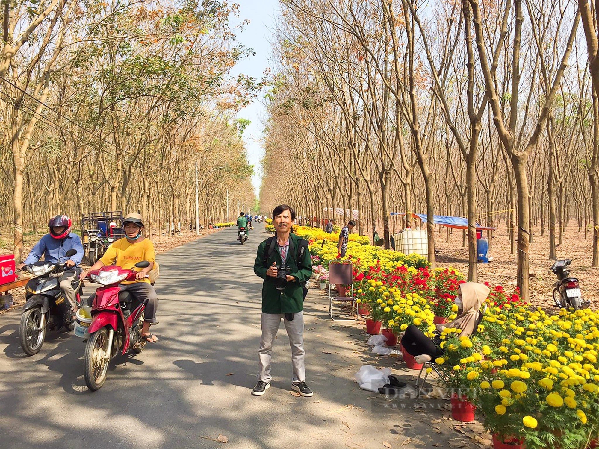 Một khu rừng ở Bình Phước bất chợt đẹp như châu Âu, đi chơi Tết ai cũng chụp hình, quay phim- Ảnh 4.