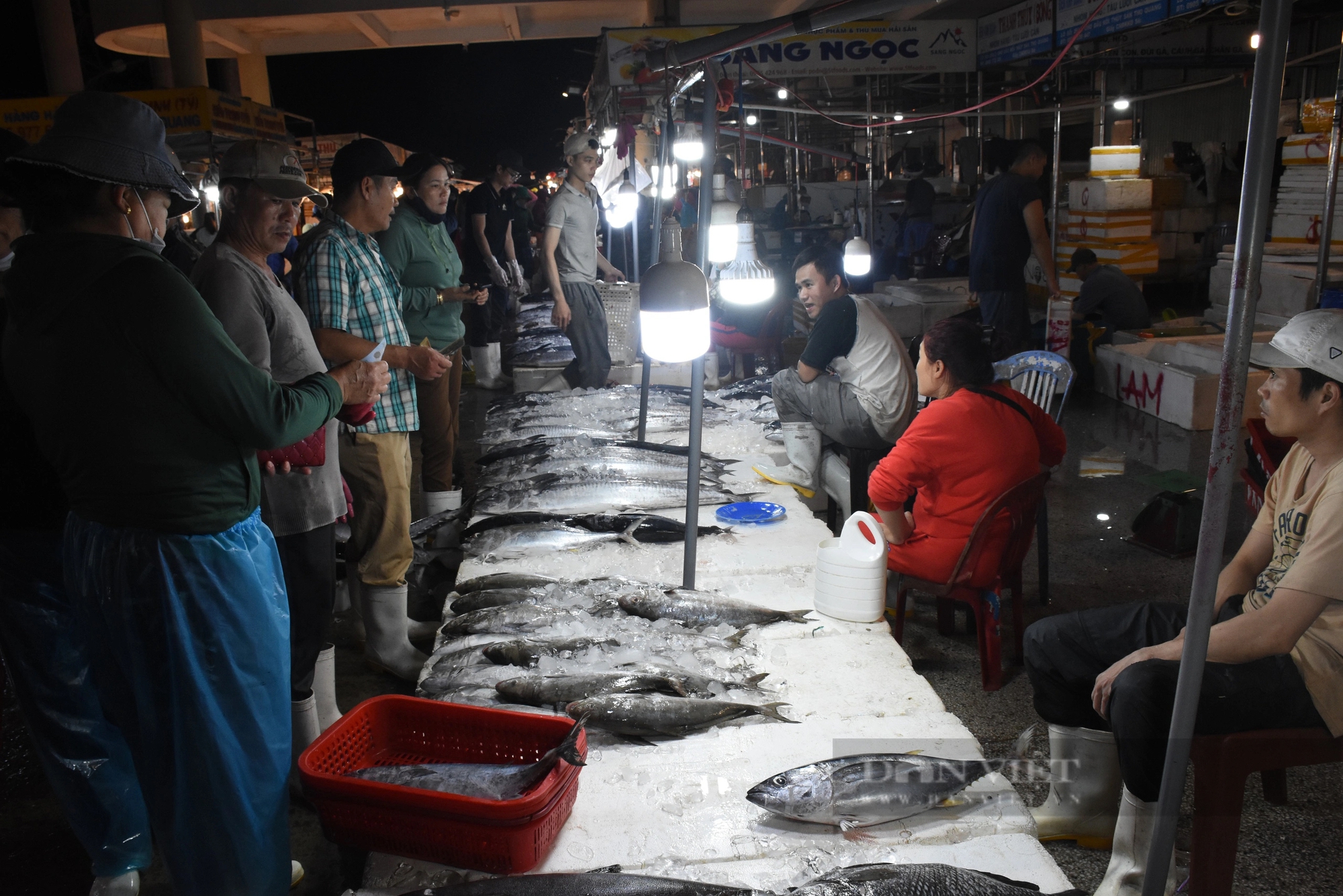 Chợ cá lớn nhất Đà Nẵng tấp nập từ tờ mờ sáng 30 Tết- Ảnh 2.