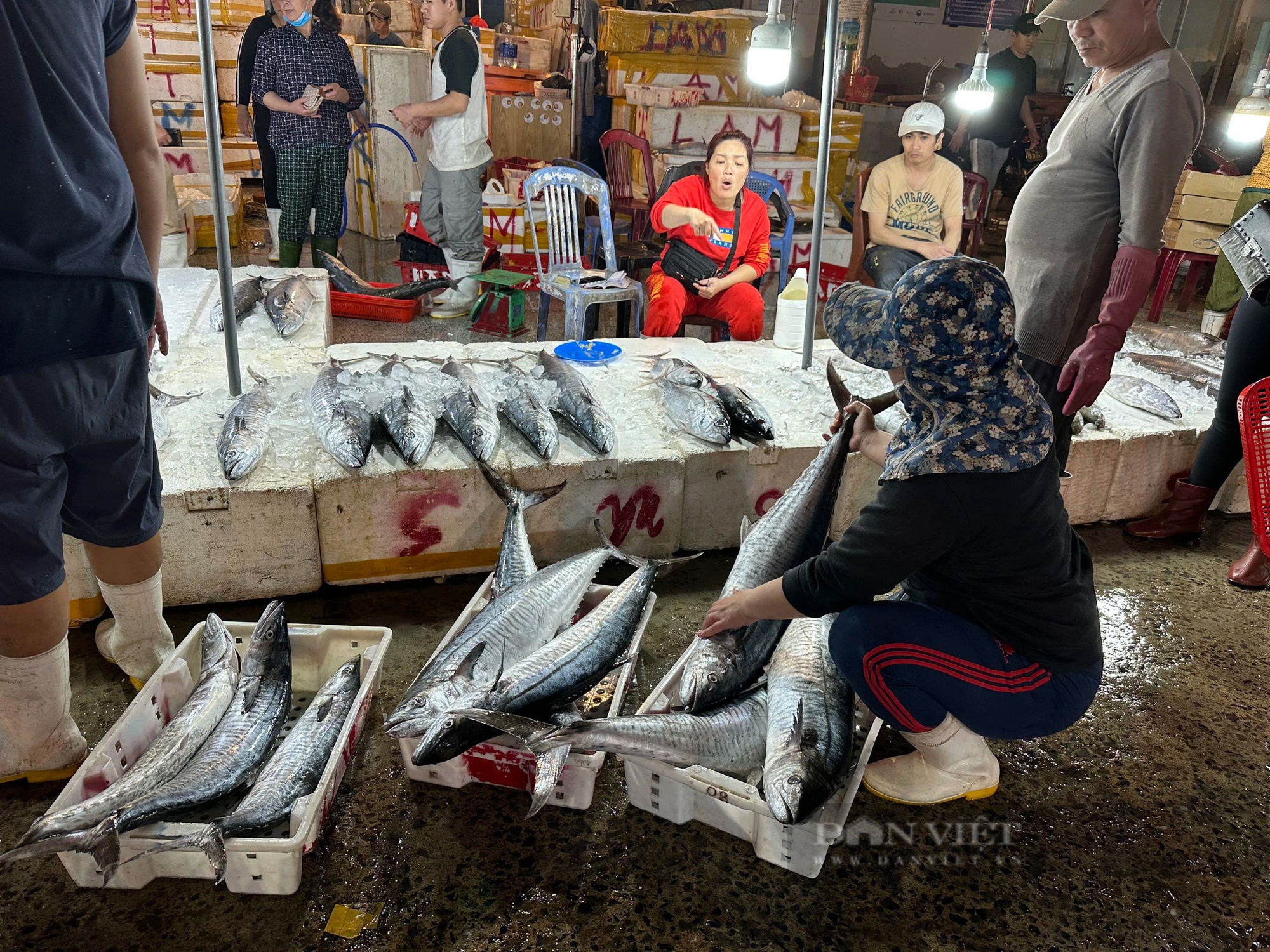 Chợ cá lớn nhất Đà Nẵng tấp nập từ tờ mờ sáng 30 Tết- Ảnh 3.