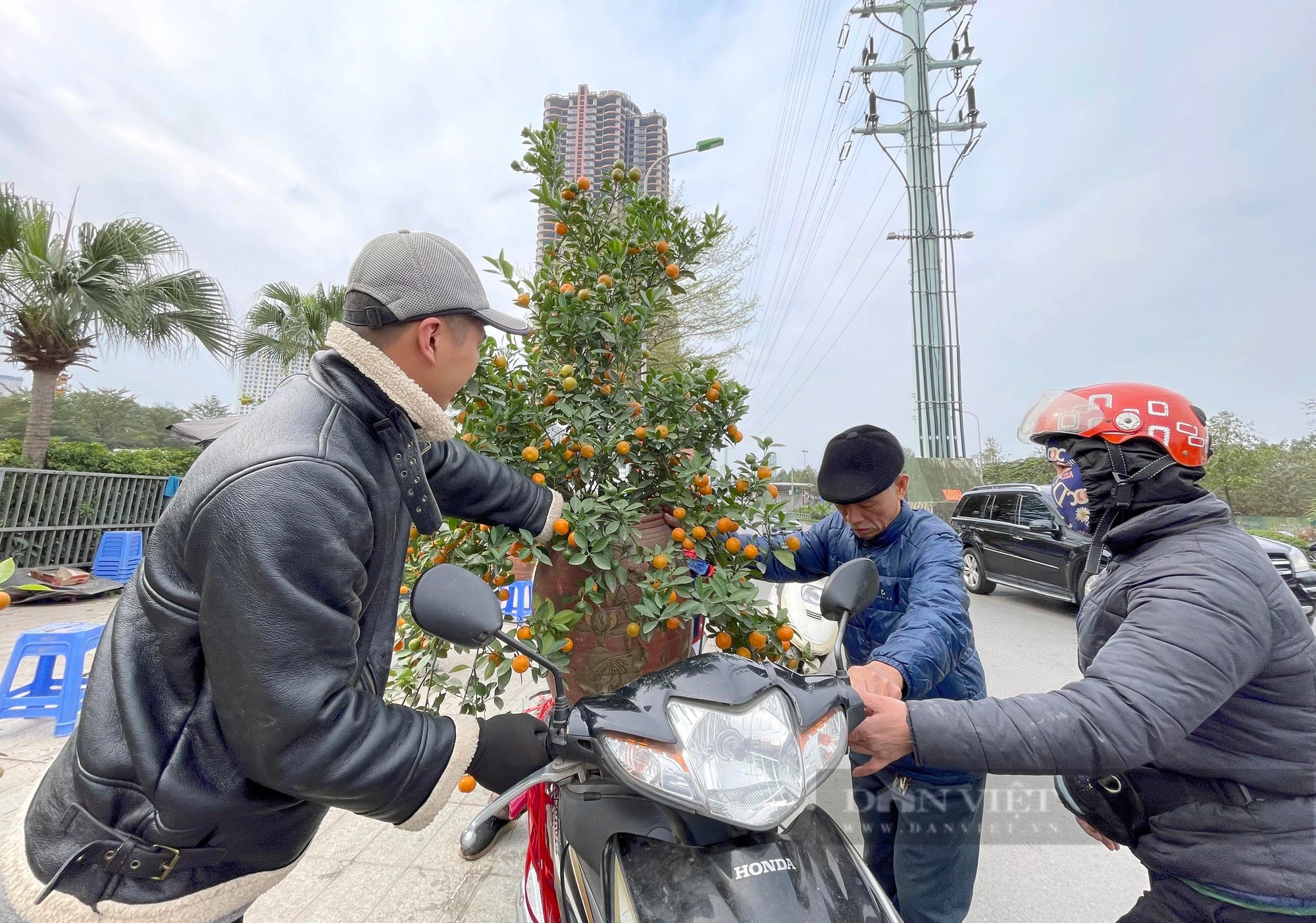 Hà Nội sáng 30 Tết, kệ hàng siêu thị trống trơn, dân chốt đơn đào quất ầm ầm- Ảnh 11.