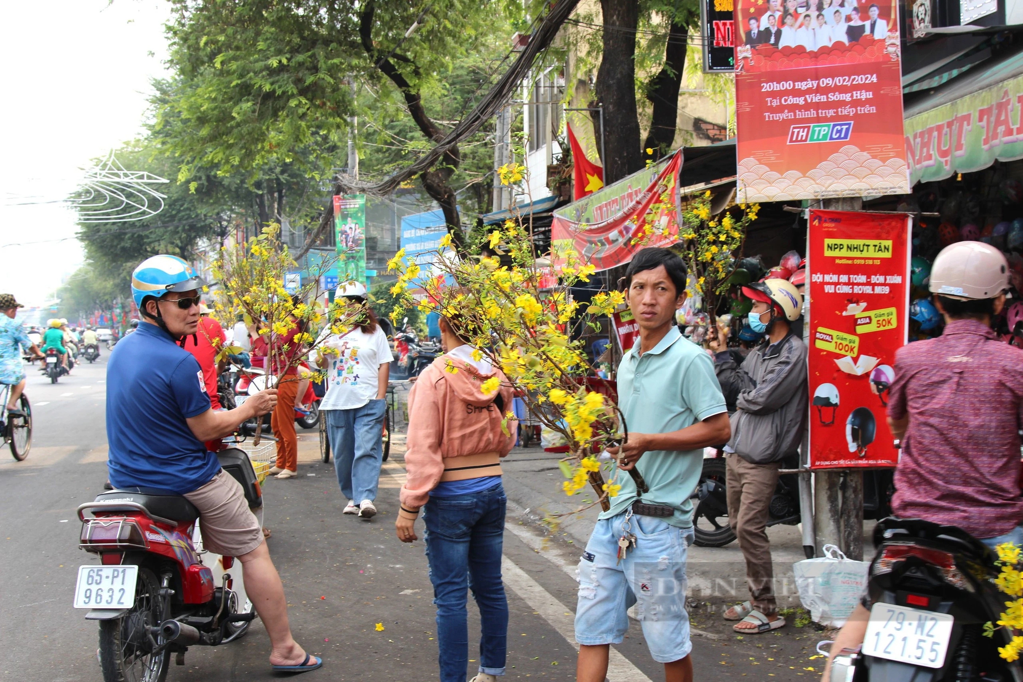 TP. Cần Thơ: Cành mai vàng rộn ràng xuống phố trước đêm giao thừa- Ảnh 1.