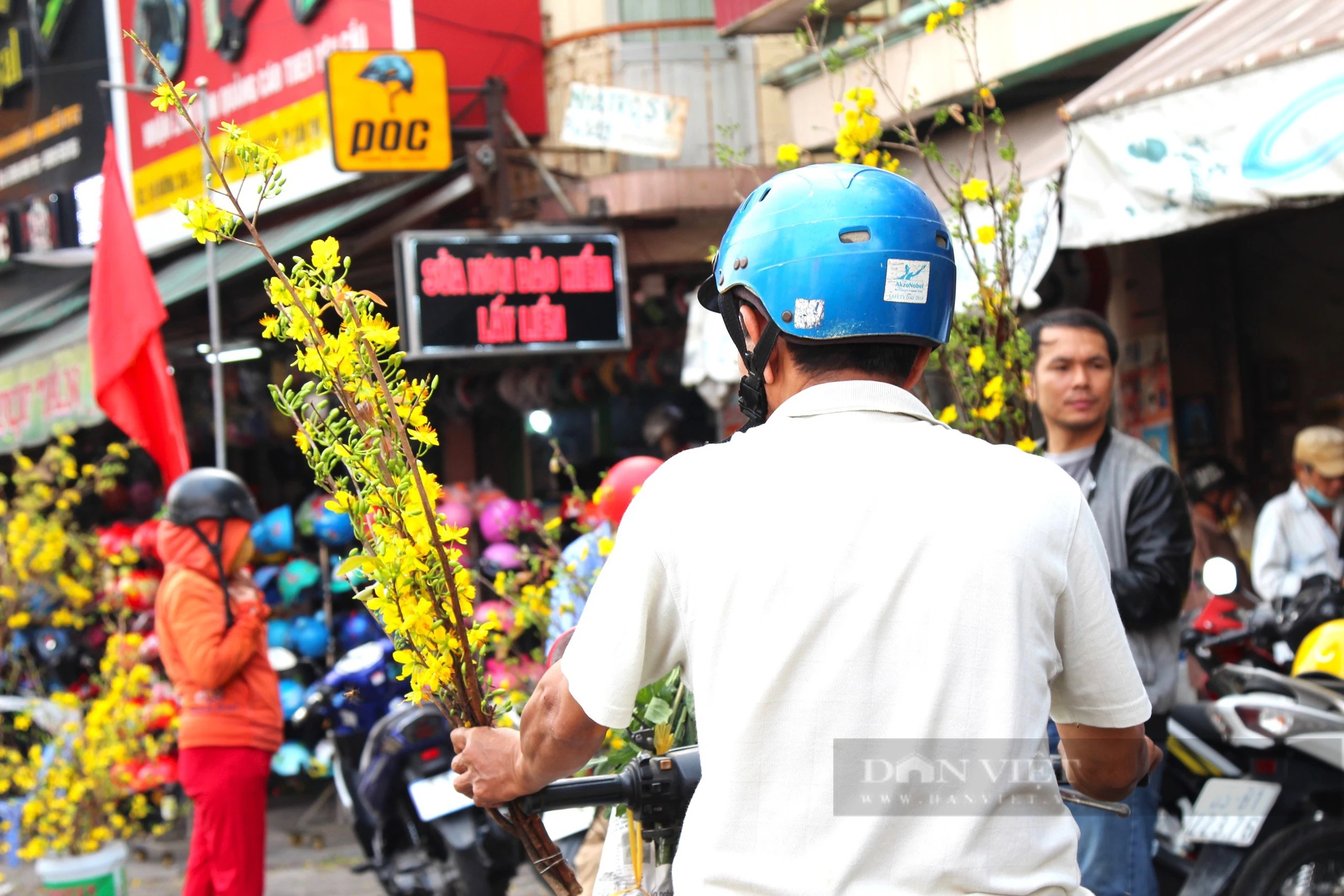 TP. Cần Thơ: Cành mai vàng rộn ràng xuống phố trước đêm giao thừa- Ảnh 6.