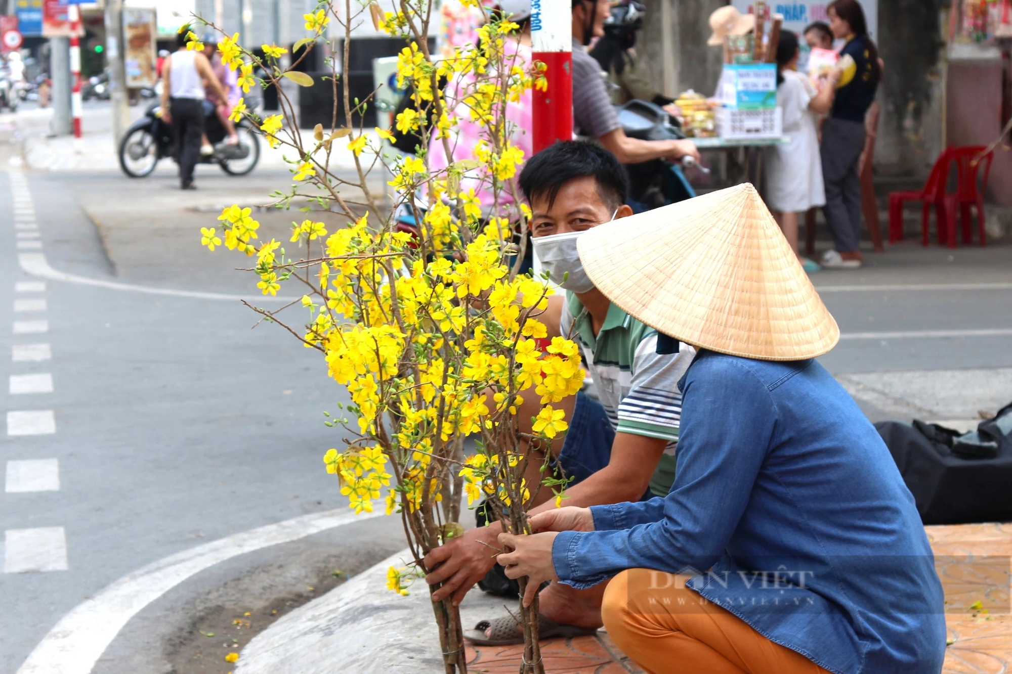 TP. Cần Thơ: Cành mai vàng rộn ràng xuống phố trước đêm giao thừa- Ảnh 7.