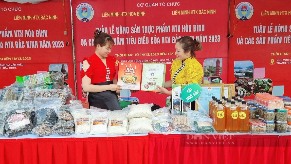 Nữ Giám đốc dân tộc Tày ở Hòa Bình làm thương hiệu thịt lợn bản địa Tân Minh- Ảnh 4.