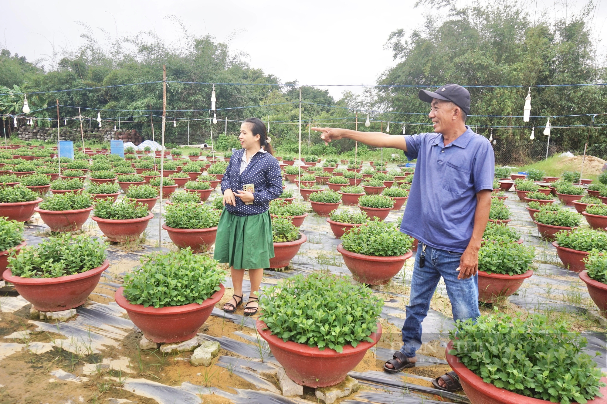 Một nông dân Đà Nẵng chỉ đi mượn đất trồng thứ gì mà làm giàu?- Ảnh 2.