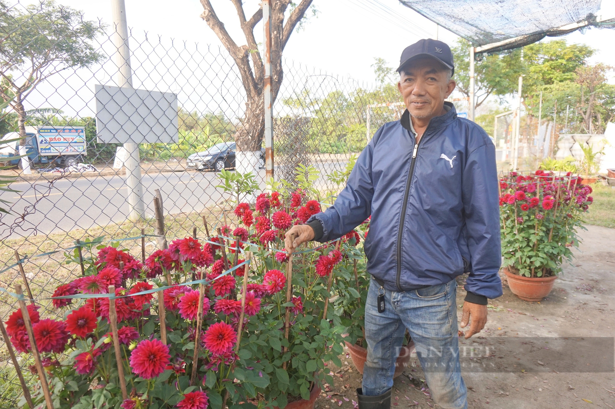 Một nông dân Đà Nẵng chỉ đi mượn đất trồng thứ gì mà làm giàu?- Ảnh 3.