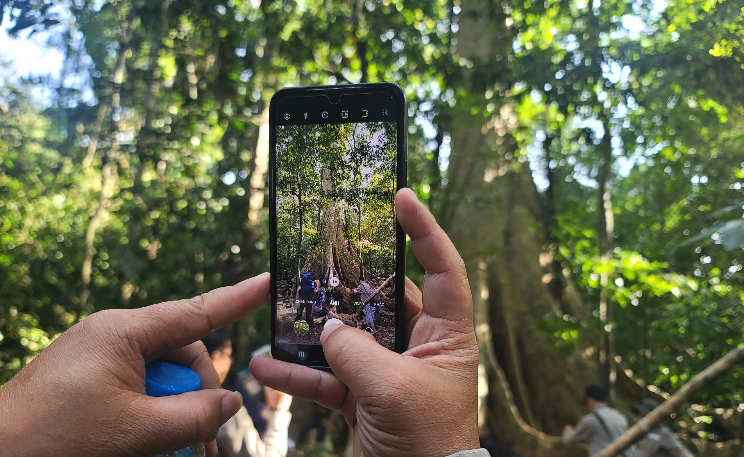 Một cây cổ thụ kỳ mỹ gần 500 tuổi tại khu rừng giáp ranh Lâm Đồng, Bình Phước, Đồng Nai ví như "thằn lằn sấm"- Ảnh 10.