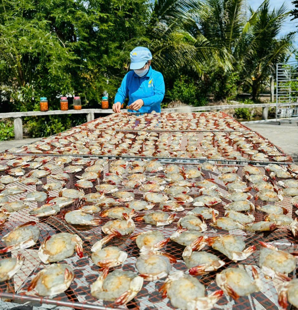 Đặc sản tôm xẻ, tôm lụi Cà Mau "cháy" hàng dịp Tết- Ảnh 5.