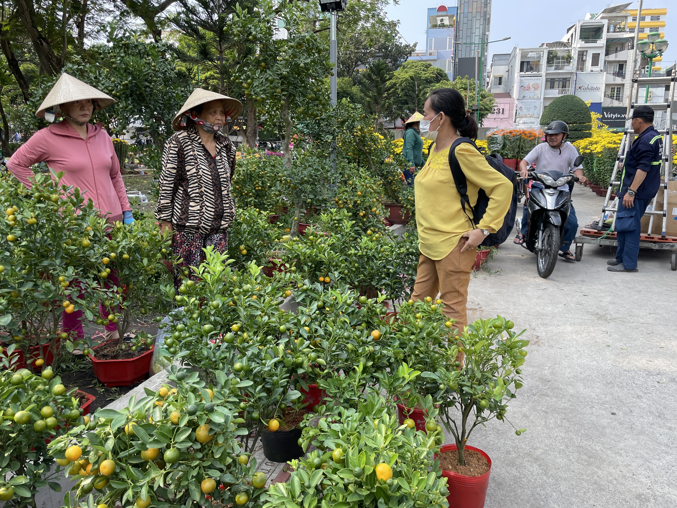 Nhà vườn, thương lái xả hàng bán giá tượng trưng trưa 30 Tết, khách TP.HCM chở cả xe hoa về nhà- Ảnh 5.