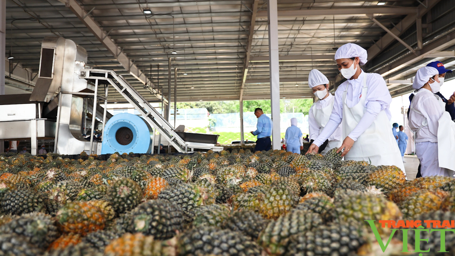 Sơn La: Phát triển nông nghiệp công nghệ cao, hội nhập quốc tế- Ảnh 4.