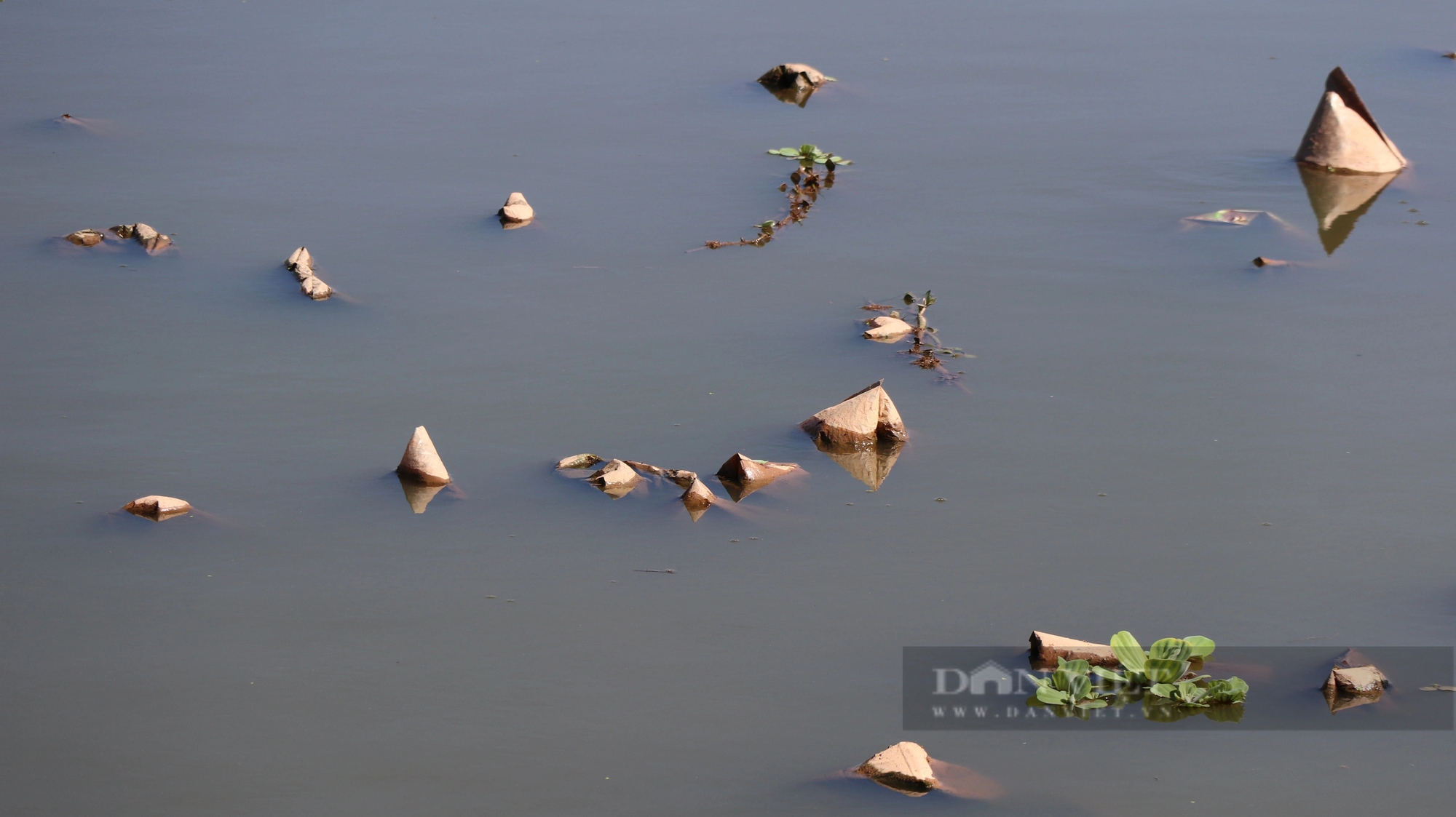 Ba hồ lắng nước trước khi chảy vào hồ Xuân Hương tại TP.Đà Lạt ô nhiễm nặng, nước đen sì- Ảnh 9.