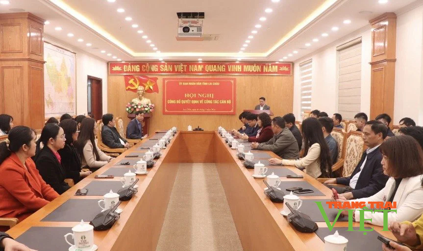 Lai Châu bổ nhiệm Phó Chánh Văn phòng UBND tỉnh- Ảnh 1.