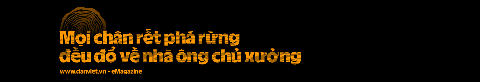 Điều tra độc quyền: Đường đi của gỗ lậu qua xe chuyển phát nhanh (Bài 1)- Ảnh 12.